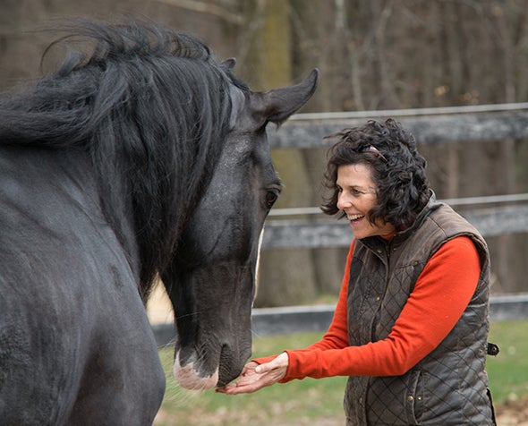 Lisa Daigle holding hands out under a black horse's nose.