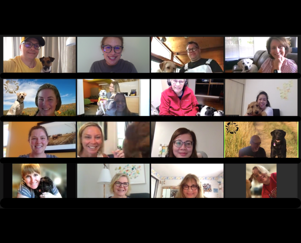 Screenshot of CAIS virtual workshop via Zoom. Sixteen people are pictured from their webcams, many with a dog in their lap.