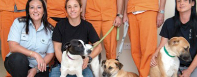 Chermon Prison Dog Program 