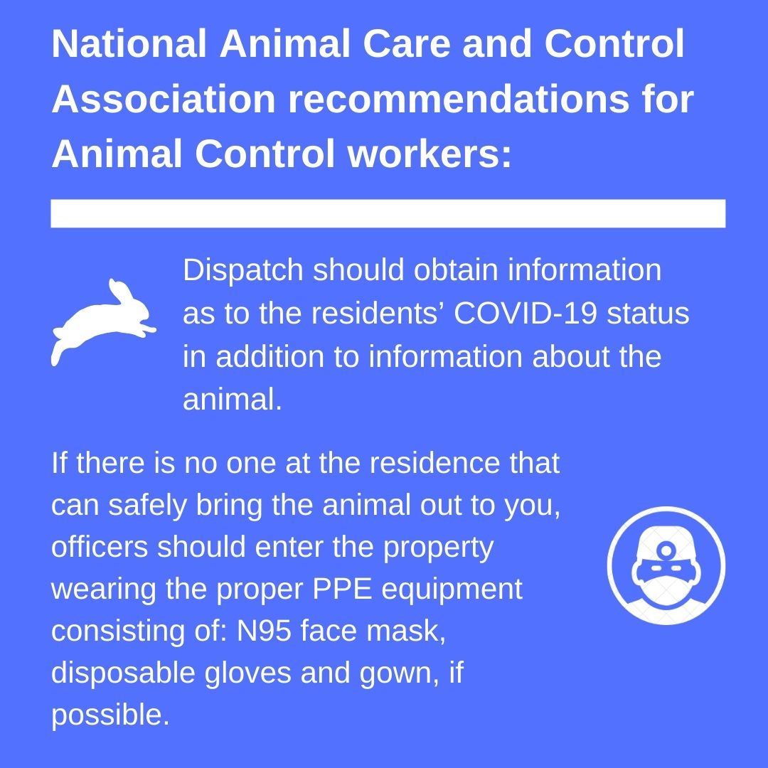 National Animal Care and Control Association