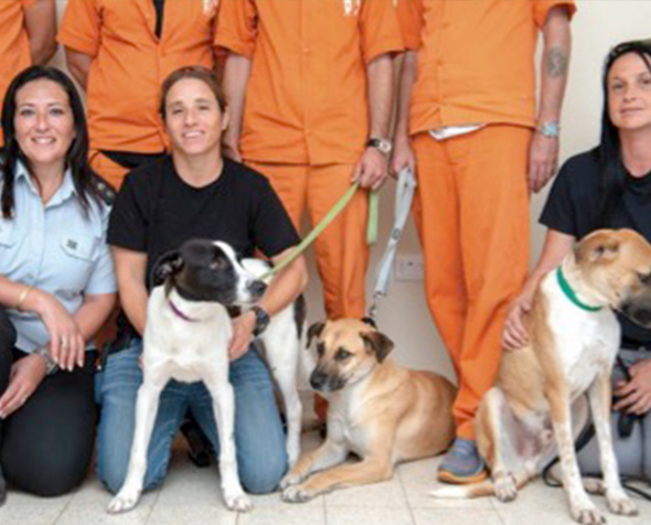 Chermon Prison Dog Program