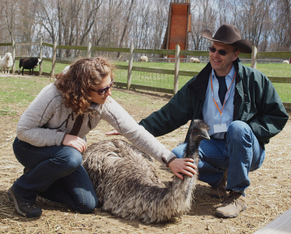 MSW student petting emu at Green Chimneys