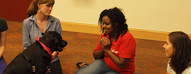 AASW students with therapy dog, Samara