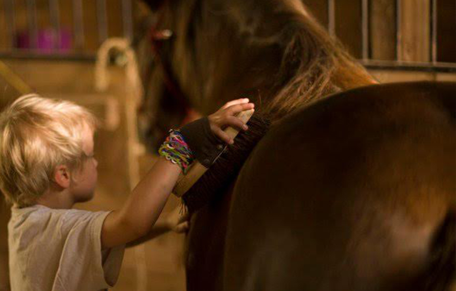 child brushing horse
