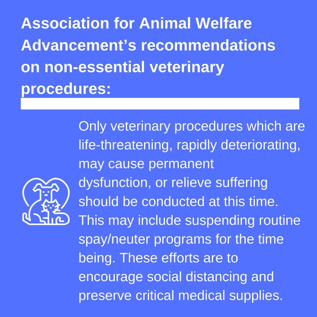 Association for Animal Welfare Advancement