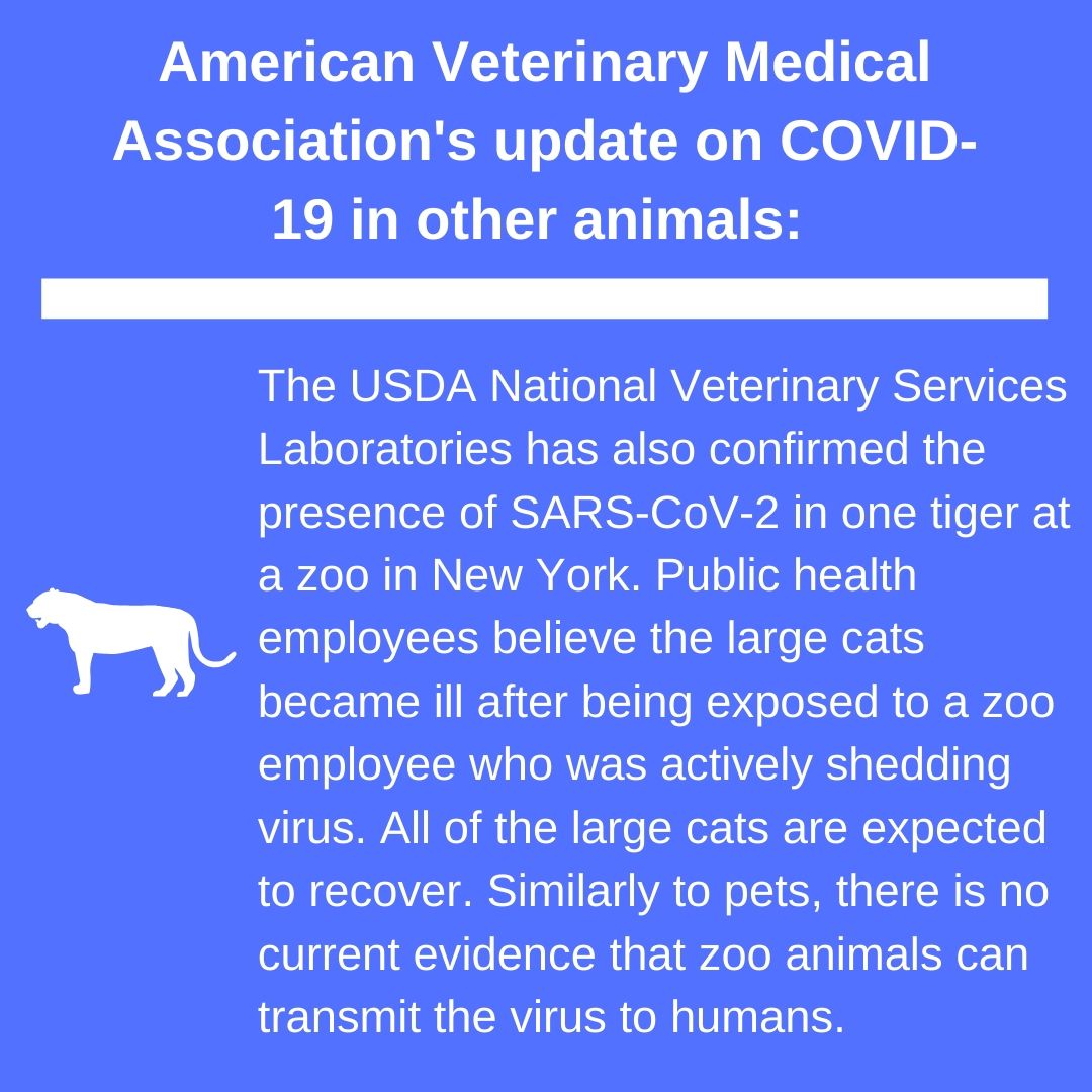 American Veterinary Medical Association Other Animals 