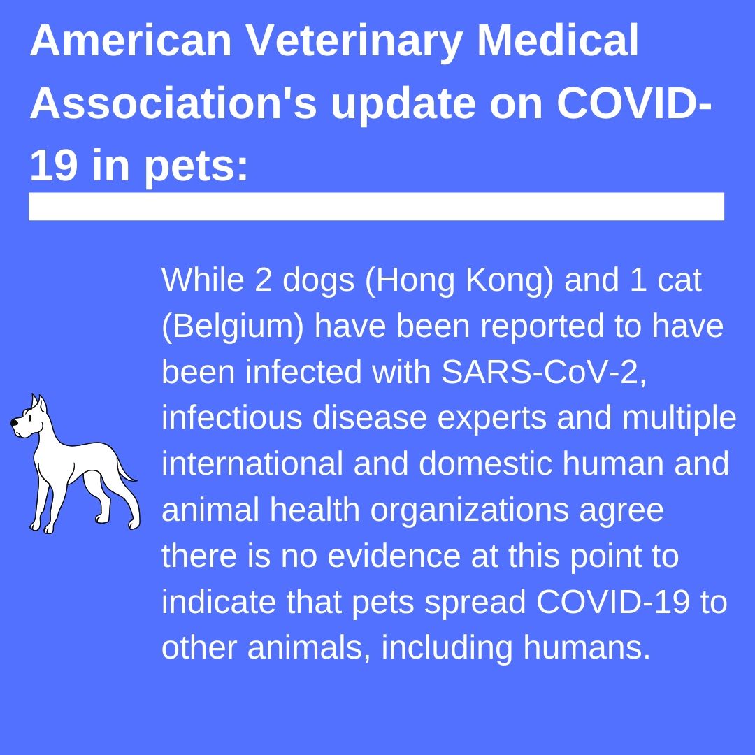 American Veterinary Medical Association Pets 