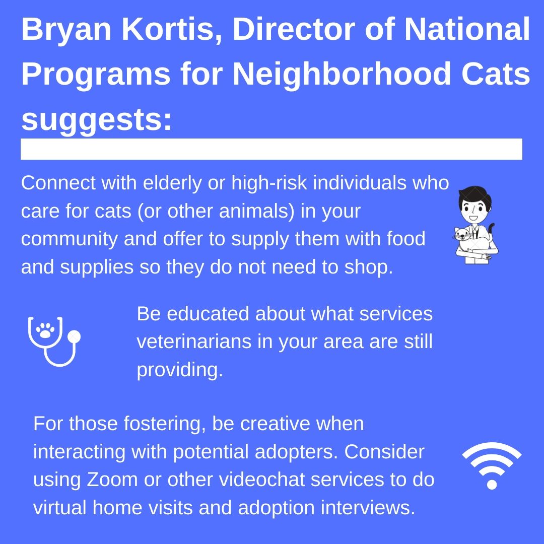 National Programs for Neighborhood Cats
