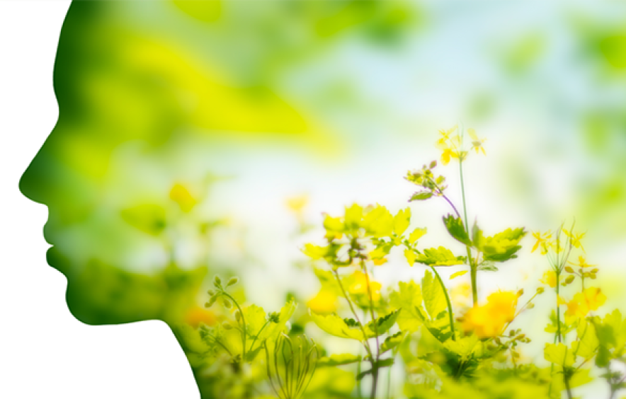 nature as healing