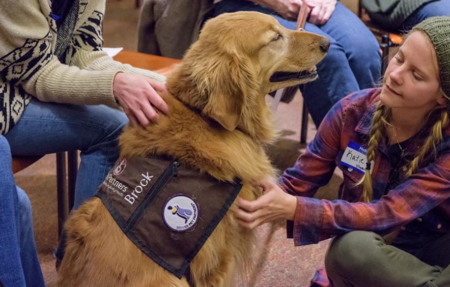 Therapy dog with woman