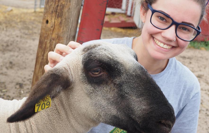 Student with Sheep