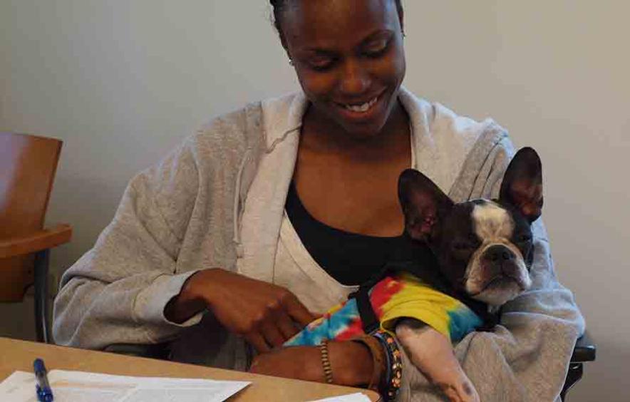 Student in class with dog