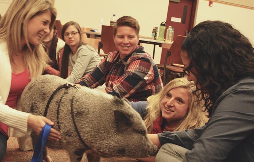 Students with pig