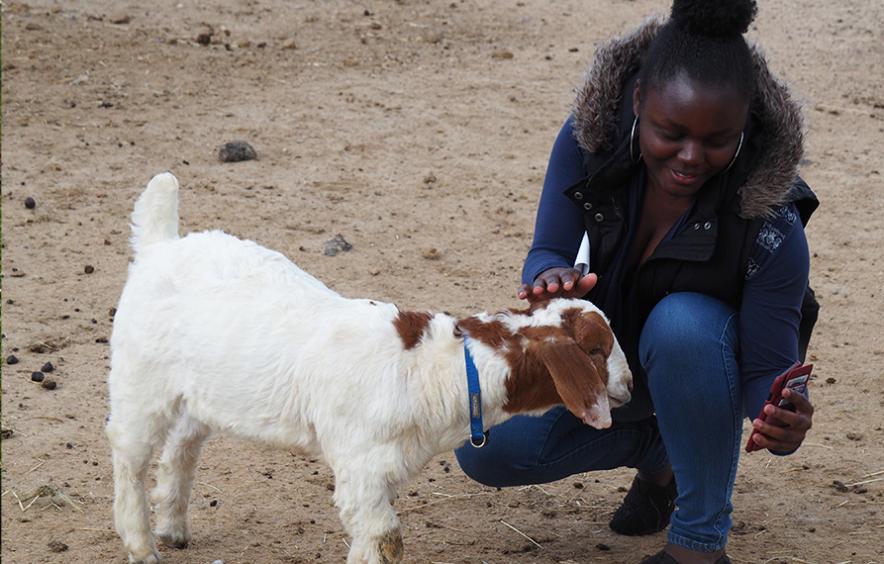 Student with goat