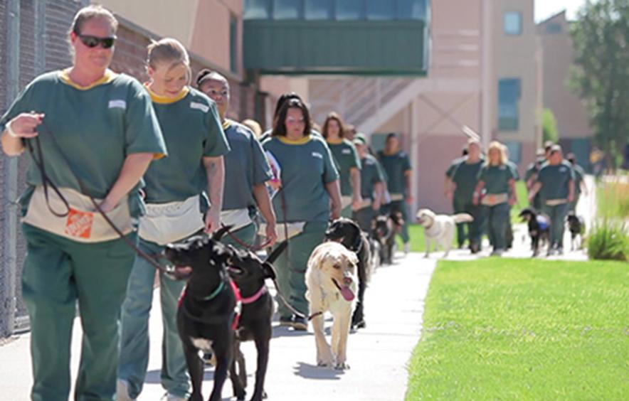 Prison Dog Program