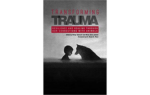 Transforming Trauma Book Cover