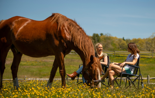 Two women talking near a horse in a beautiful green pasture