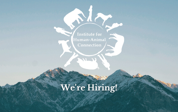 Image of mountains with IHAC logo on top. Text reads "We're Hiring!"