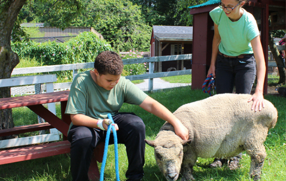 Boy is petting a sheep outside with a woman nearby facilitating animal-assisted intervention