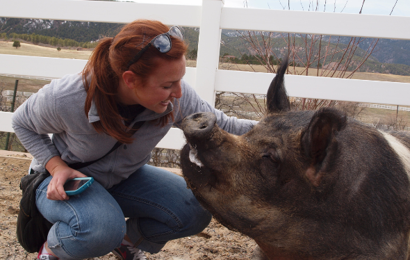 Arielle Giddens with therapy pig
