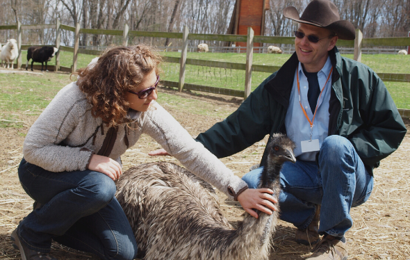 Green Chimneys, two people with a farm animal taking part in a human-animal interaction