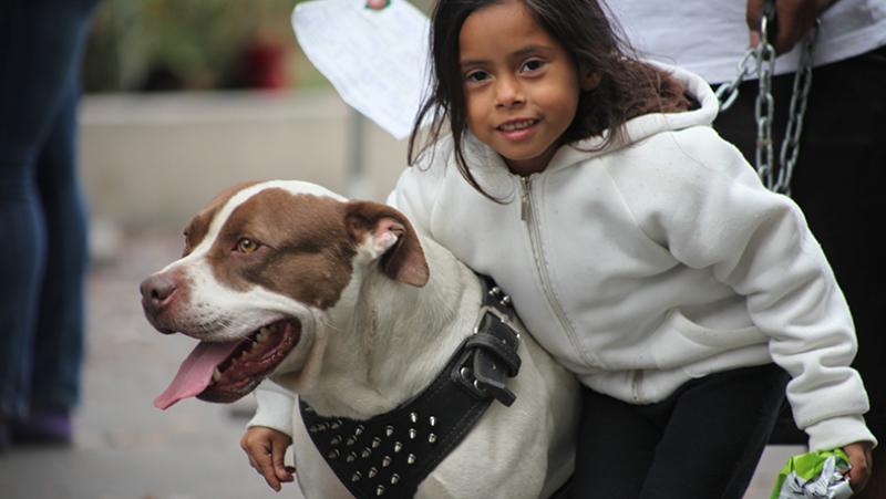 girl pets dog