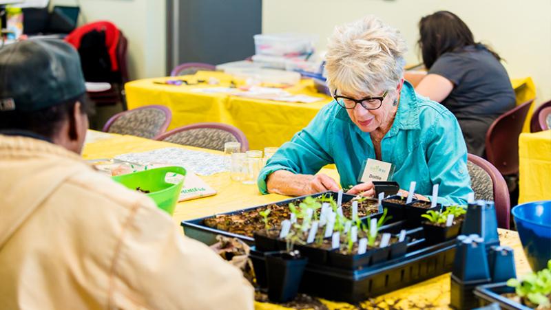 Dottie planting at Earthlinks