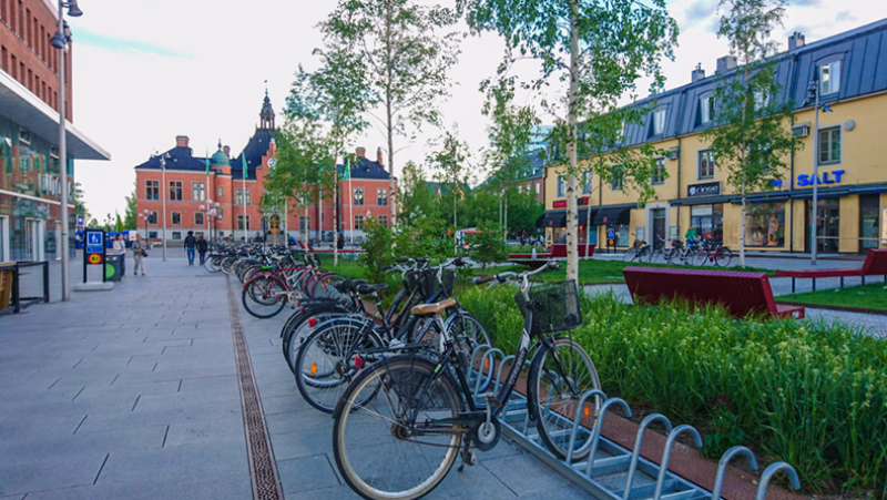 cobblestone street with bikes