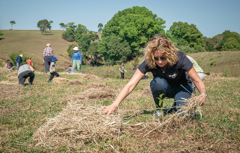 People working in a field