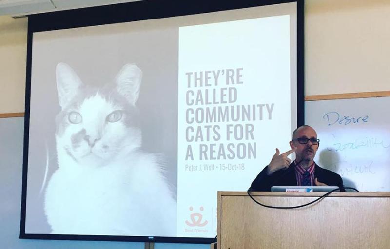 Man presenting in front of slide with a cat photo