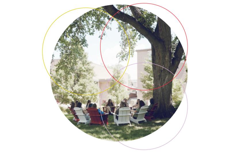 Students holding class under a tree at Denver campus