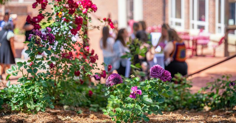 Open House 2025 in Craig Hall