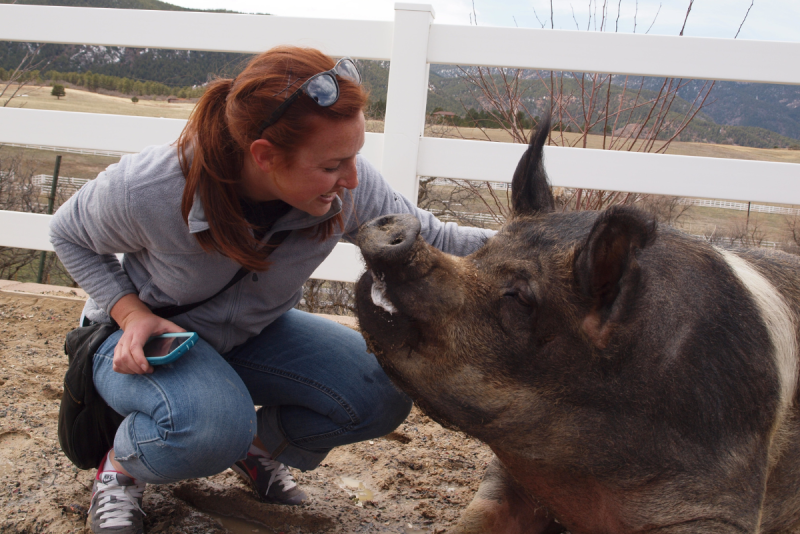 Arielle Giddens interacting with a pig