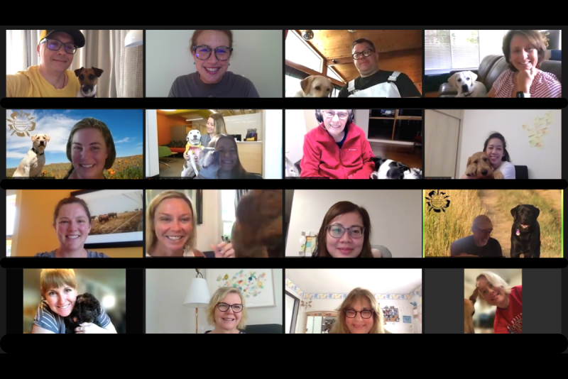 Screenshot of CAIS virtual workshop via Zoom. Sixteen people are pictured from their webcams, many with a dog in their lap.