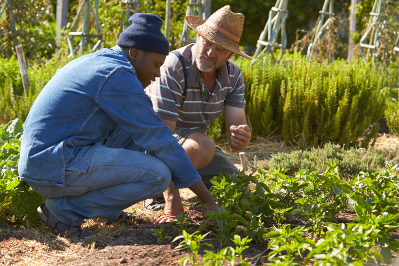 Men in a community garden as part of the Ecological Justice program