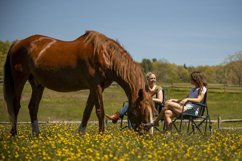 animal-assisted activity with horse and two women