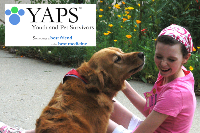 YAPS logo with text "Sometimes a Best Friend is the Best Medicine" on top of a photo of a little girl in pink with a Golden Retriever dog