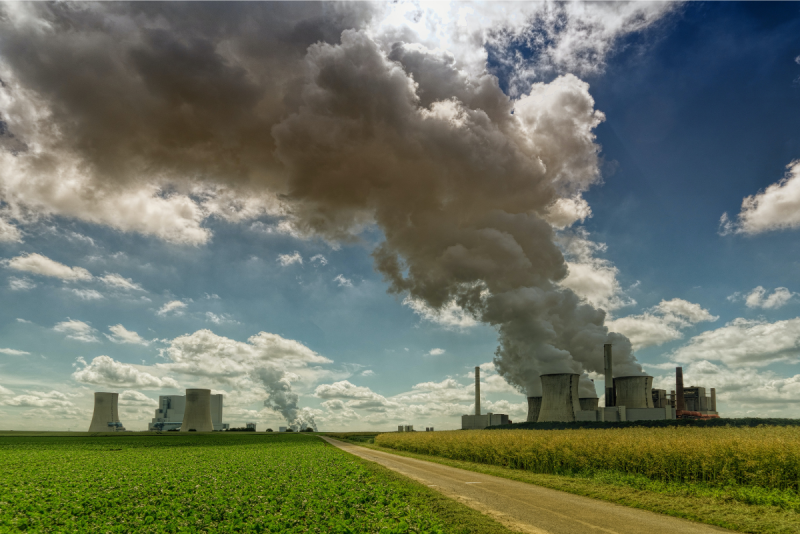 coal plants and monocrops