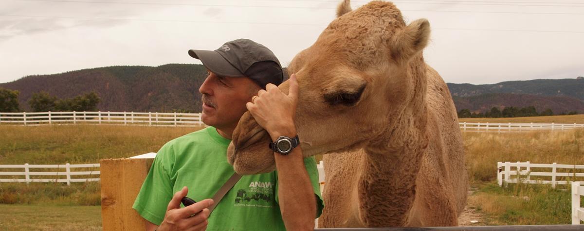 Phil Tedeschi and camel 