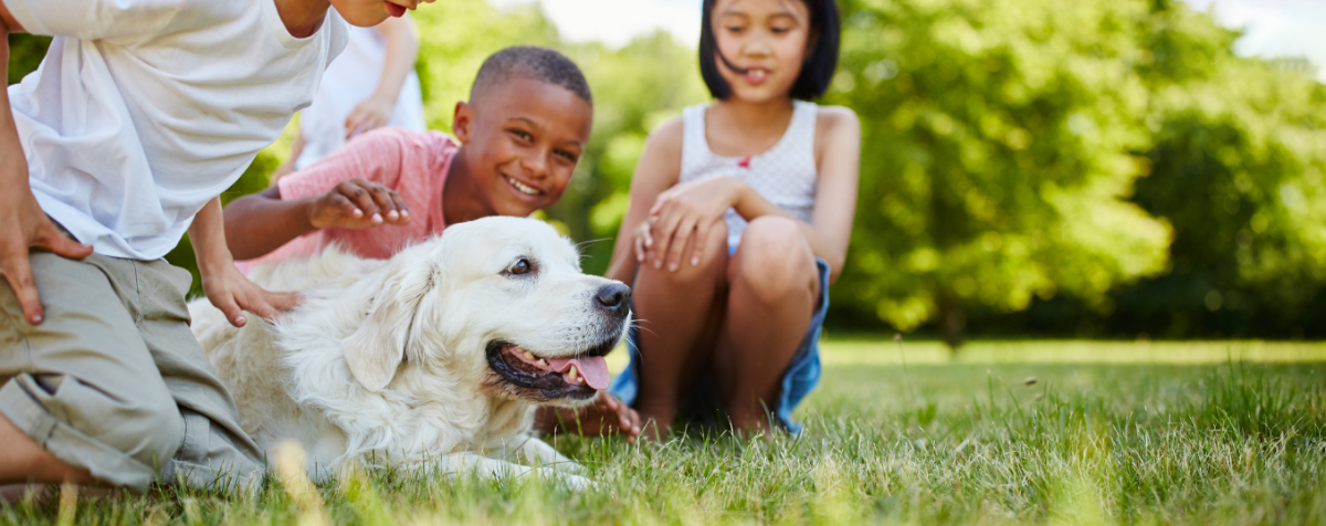 Children interacting with a dog outside displaying human-animal bond