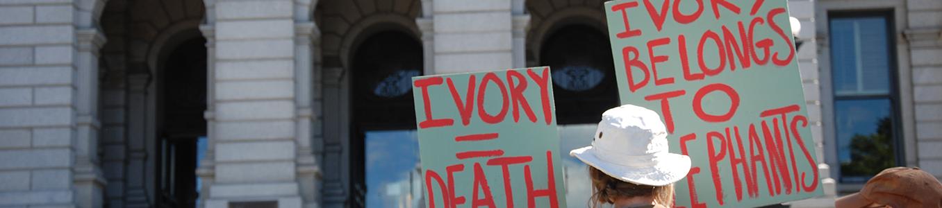 Signs at the March for Elephants and Rhinos