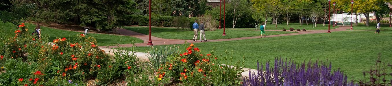 Denver Campus Flowers