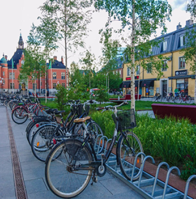 cobblestone street with bikes 