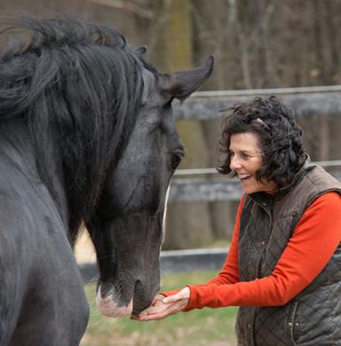 Lisa Daigle holding hands under nose of black horse. 