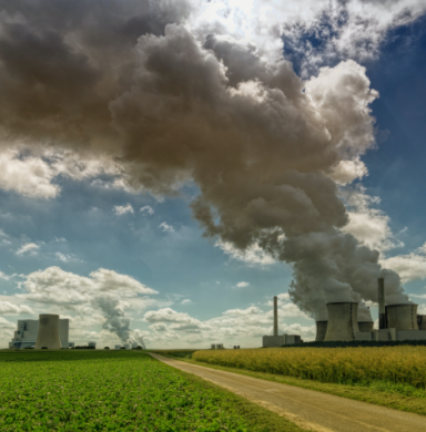coal plants and monocrops