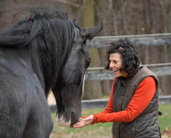 Lisa Daigle holding her hands under the nose of a black horse. 