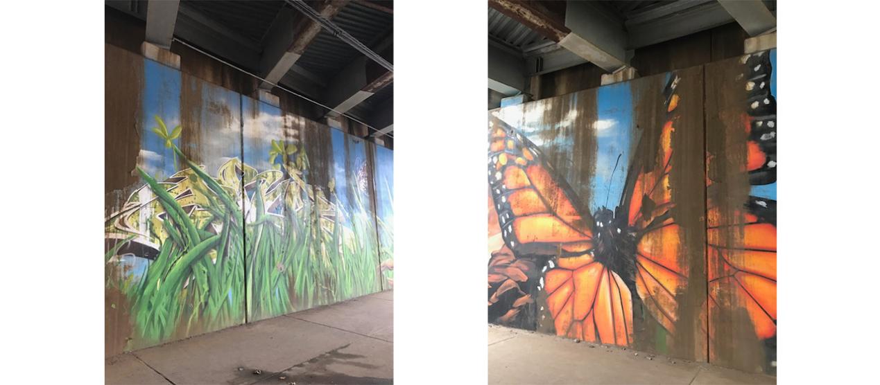 Nature Murals, New Haven, Connecticut