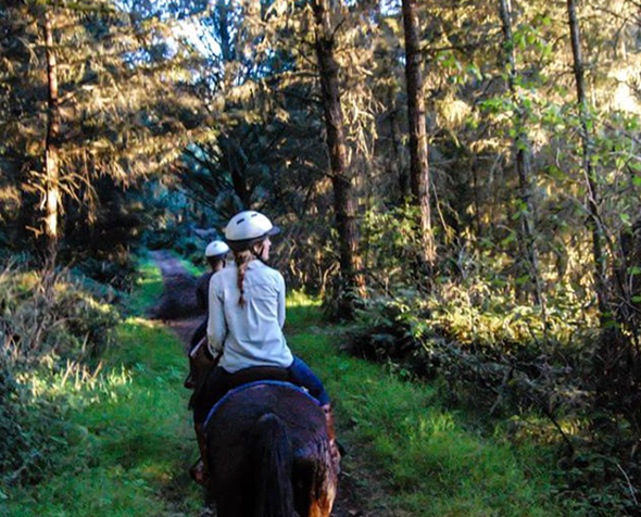 Equine Assisted Psychotherapy Equine Assisted Psychotherapy