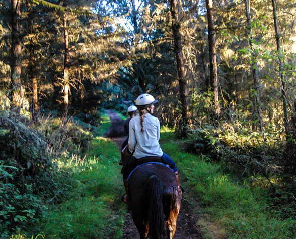 msw student on horse