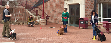 Scholars with Collars training